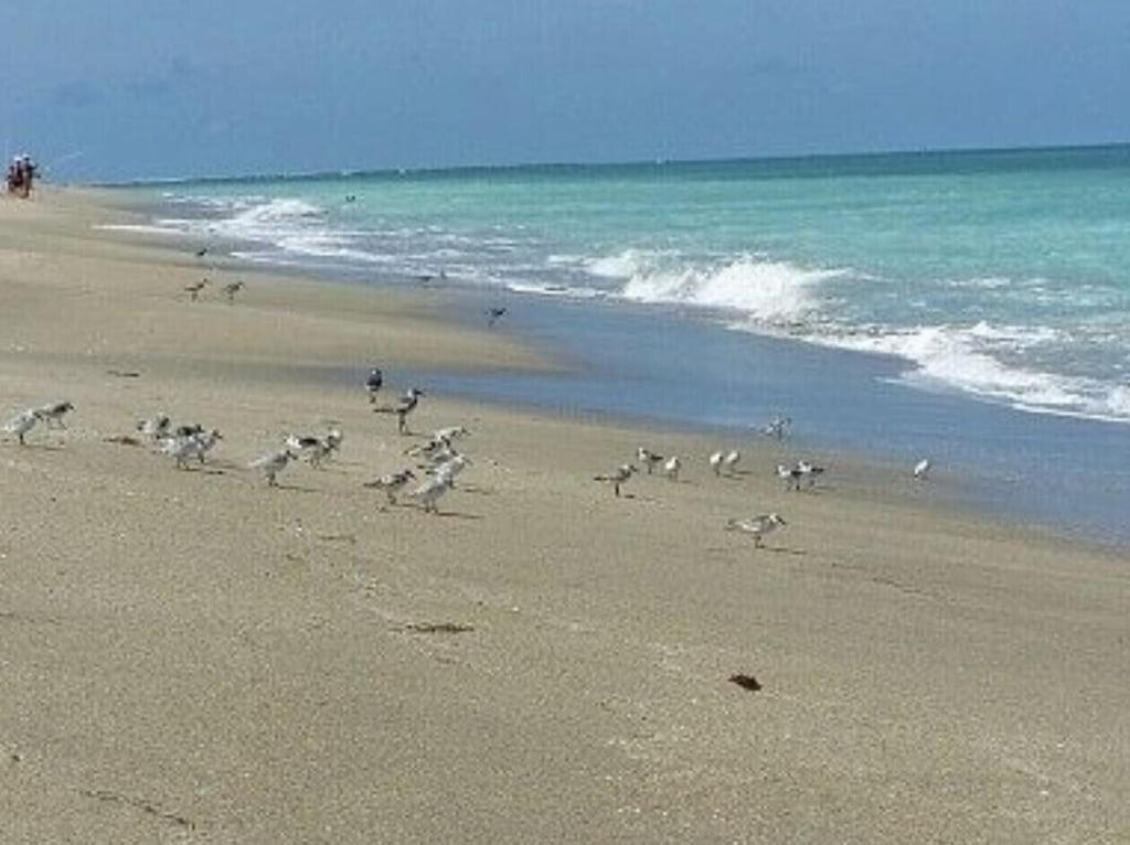 Excellent Beach Front Community, Golf Course, Tennis, Sunny Weather Year Round! Fort Pierce Bagian luar foto